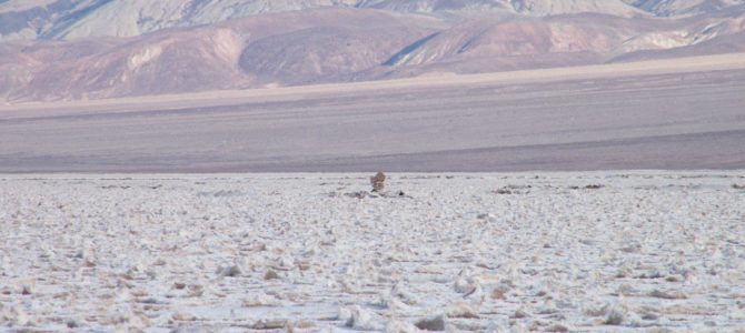 Walk Across Death Valley on the Badwater Flats!