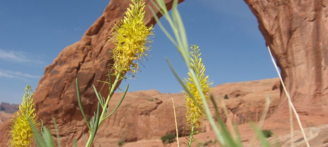 Moab’s Undiscovered Arch: Corona Arch