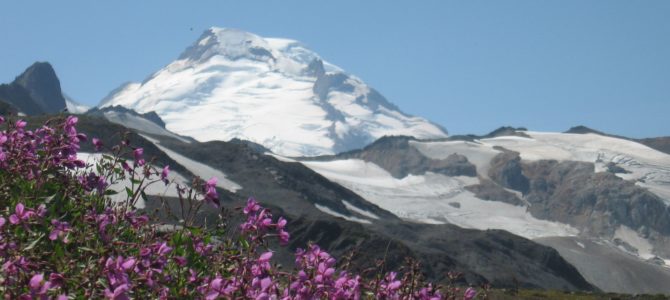 Stunning Views of Washington’s Famed Mt. Baker: The Ptarmigan Ridge Trail