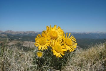 An Awesome 13er: Fitzpatrick Peak