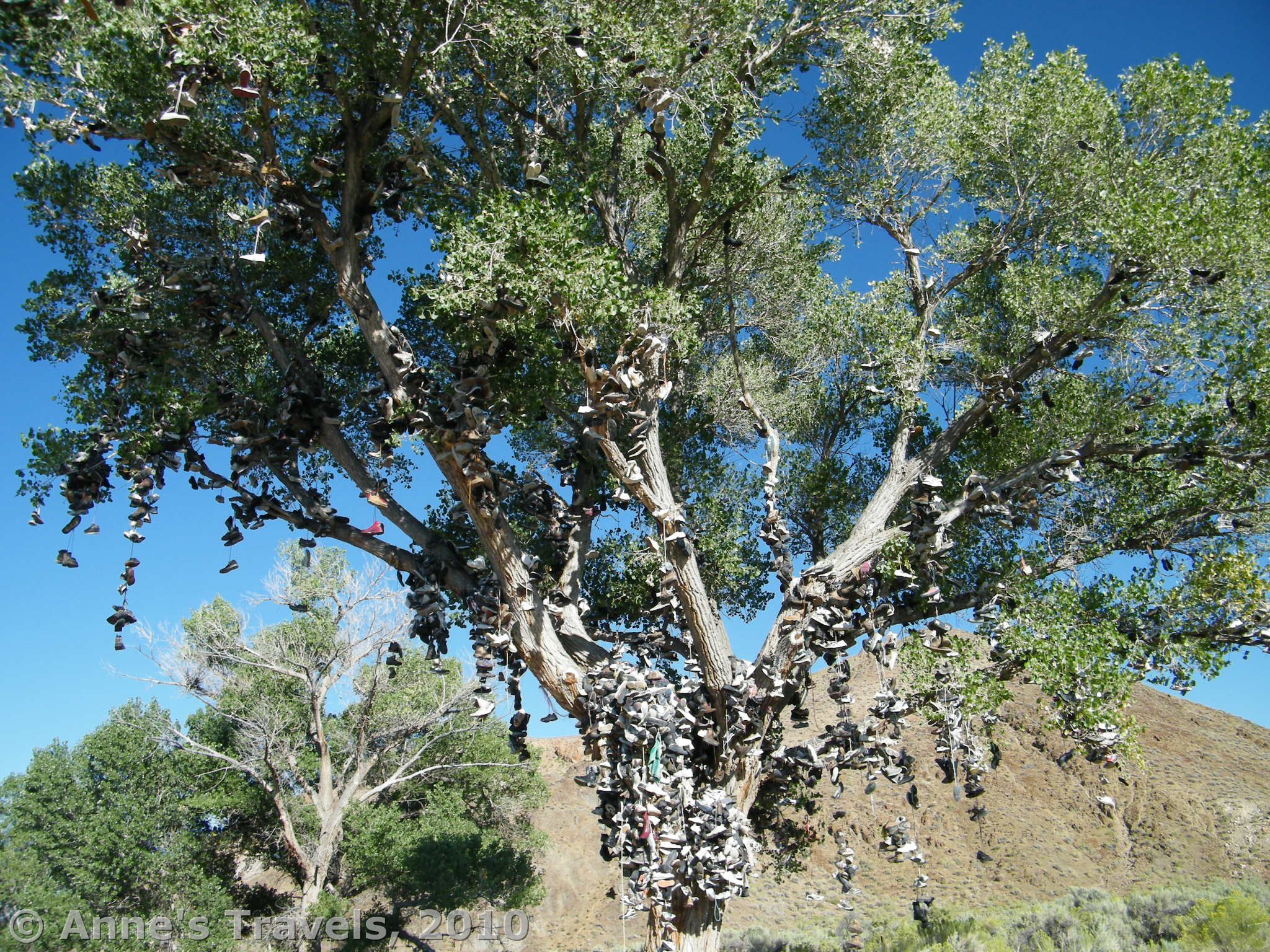 The Shoe Tree along the Loneliest Road in America in Nevada
