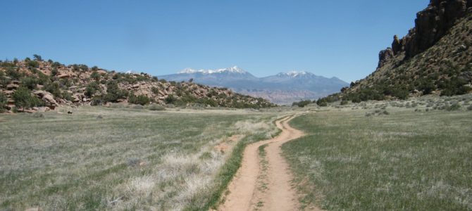 A “Hidden” Desert Meadow: Hidden Valley, Moab