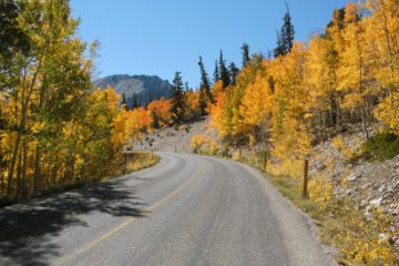 Nevada’s Only Glacier & Bristlecone Pine Forest