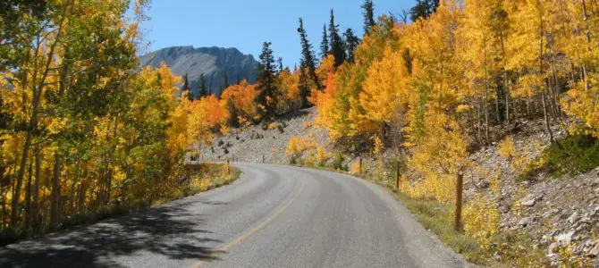 Nevada’s Only Glacier & Bristlecone Pine Forest