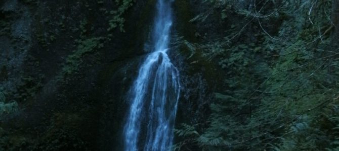 Prettiest Little Falls in Olympic: Marymere Falls