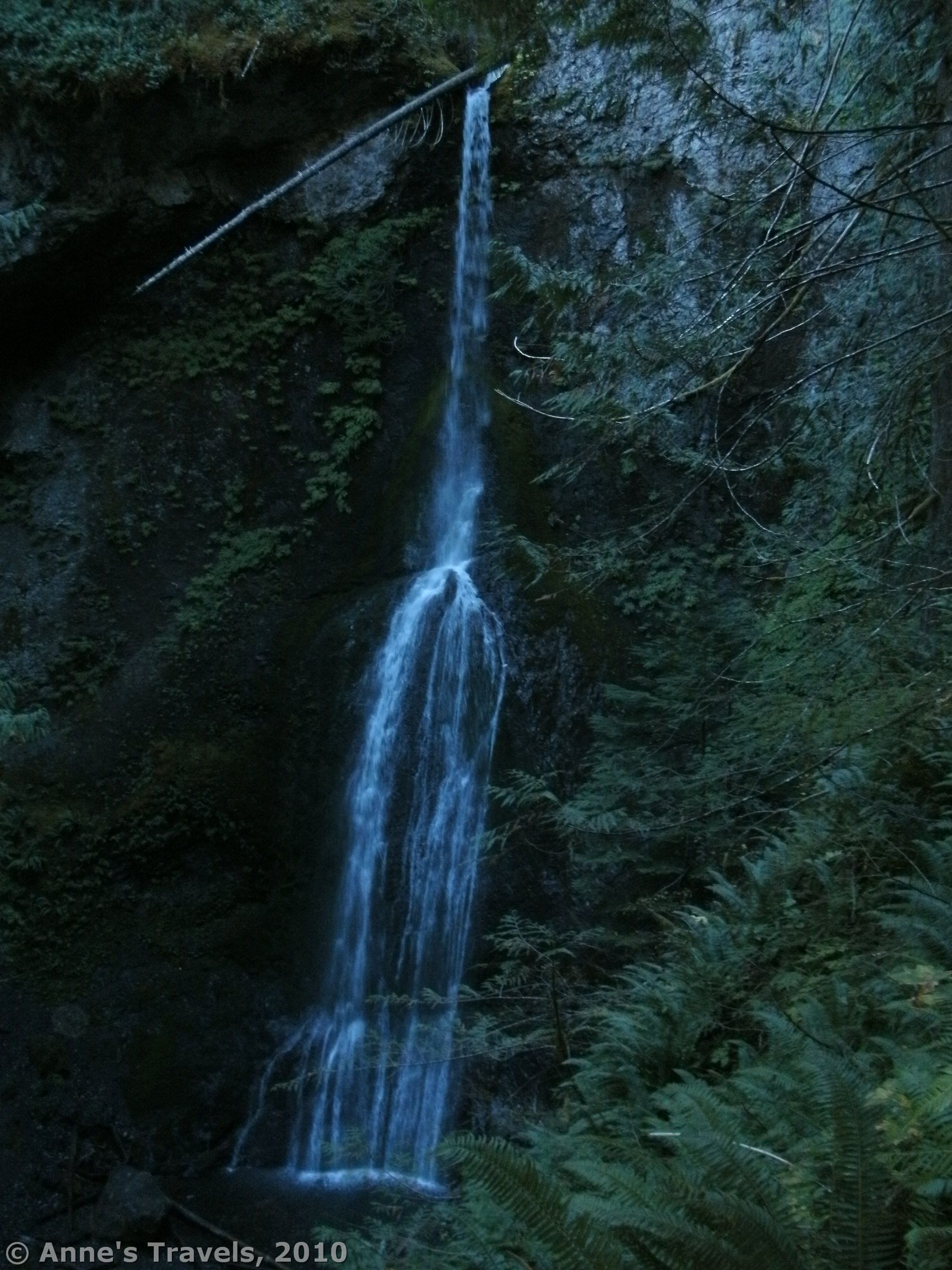 Marymere Falls, in Olympic National Park, Washington, is one of the pretties waterfalls I've seen in a long time.