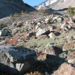 Climbing to the Ski Bowl on Mount Shasta, California