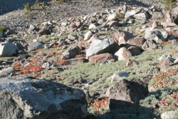 High on the side of Mt. Shasta: Green Butte