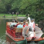 A swan boat in the Boston Public Garden, MA