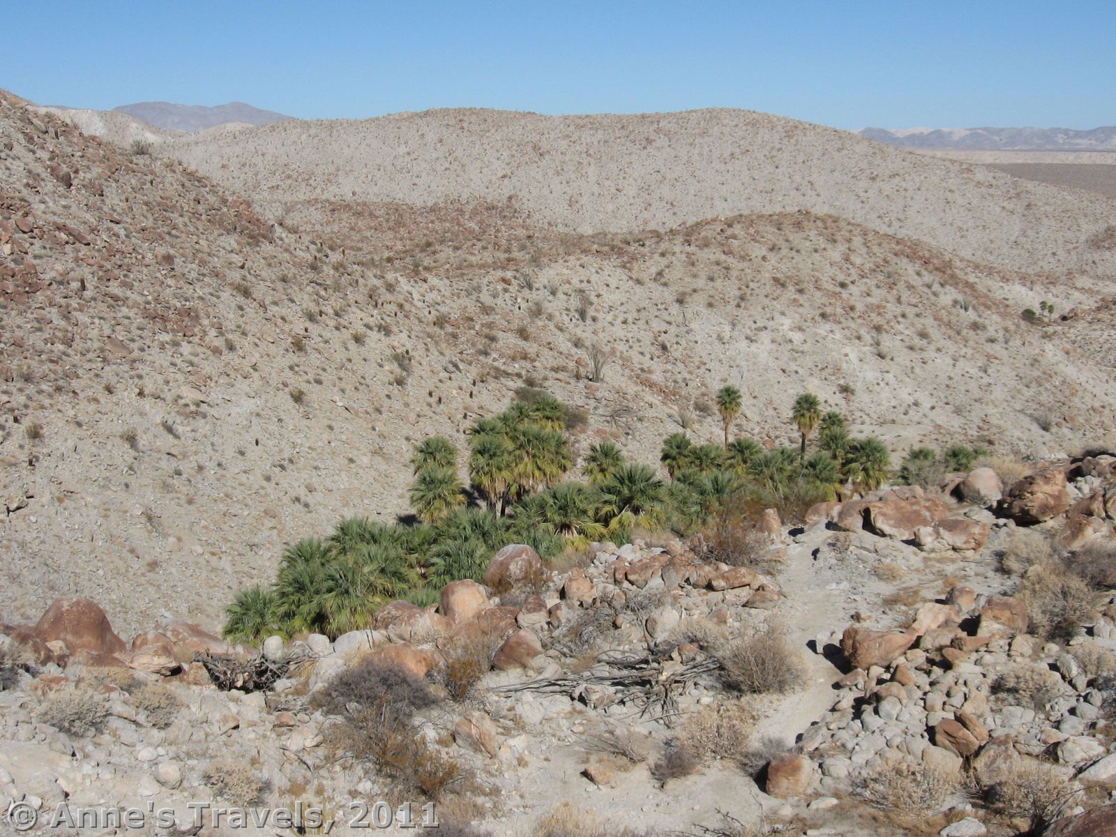 Above the Palm Bowl, it is even more impressive than below. Anza-Borrego Desert State Park, California