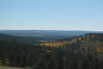 Wyoming’s Black Hills-Fire Tower View: Cement Ridge