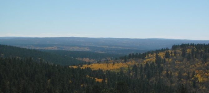 Wyoming’s Black Hills-Fire Tower View: Cement Ridge