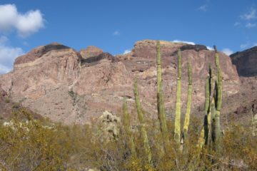 Prettiest Hike in Organ Pipe: Bull Pasture