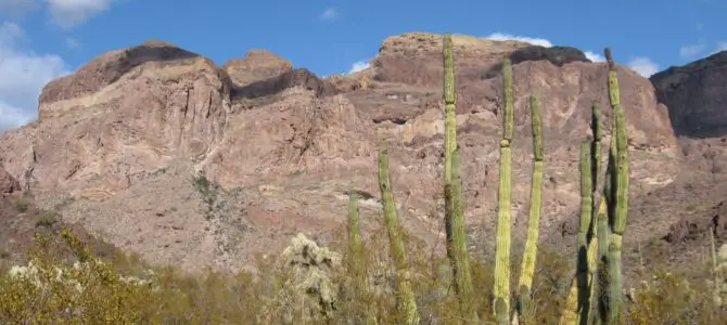 Prettiest Hike in Organ Pipe: Bull Pasture