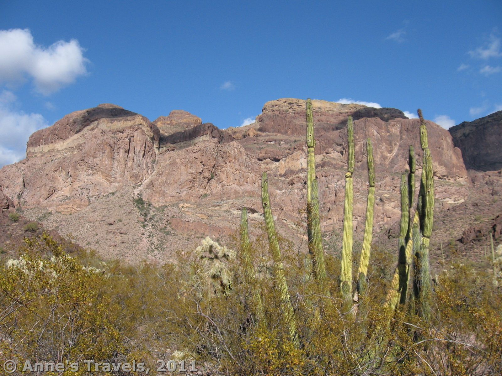 Along the Ajo Mountain Drive in Organ Pipe Cactus National Monument, Arizona