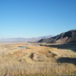 Saratoga Springs, peaceful in the early morning, yet bursting with wildlife. Death Valley National Park, California