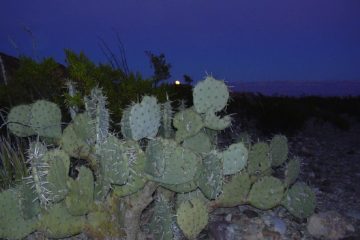 Backcountry Car Camping in Big Bend pt 3