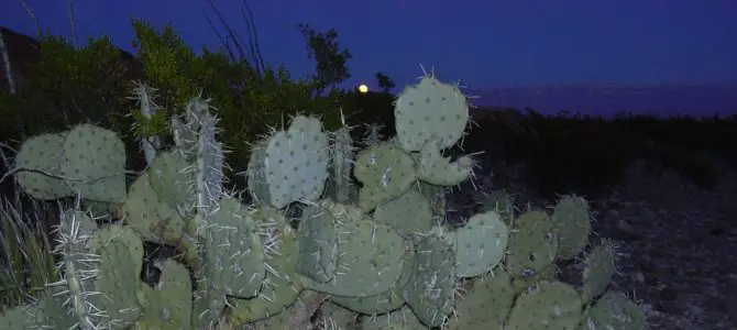 Backcountry Car Camping in Big Bend pt 3