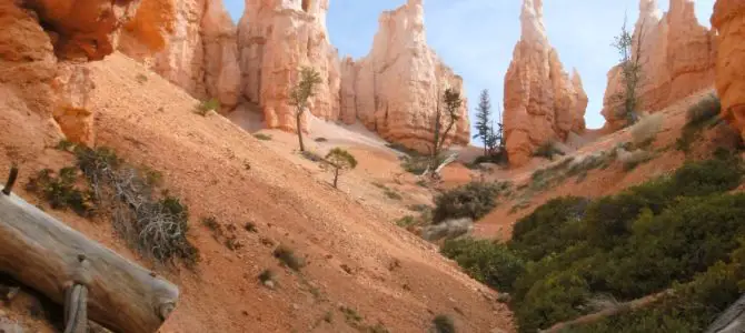 Beautiful Bryce Hike: Peek-a-Boo Trail & Navajo Trail