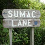 Sumac Lane trail sign at the Kent Park Arboretum in Webster, NY