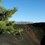 A crater along the Big Crater Trail in Craters of the Moon National Monument, Idaho