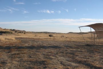 Campgrounds at Badlands  – Sage Creek Campground