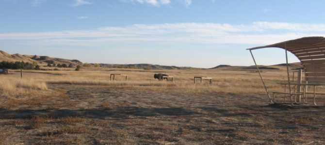 Campgrounds at Badlands  – Sage Creek Campground