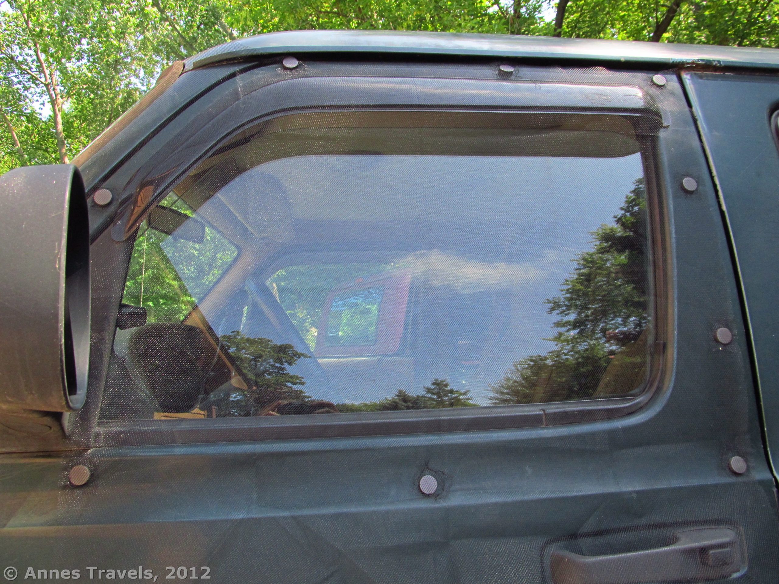 Bug screen on front van door