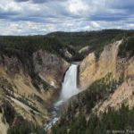 Lower Yellowstone Falls from Lookout Point, Yellowstone National Park, Wyoming