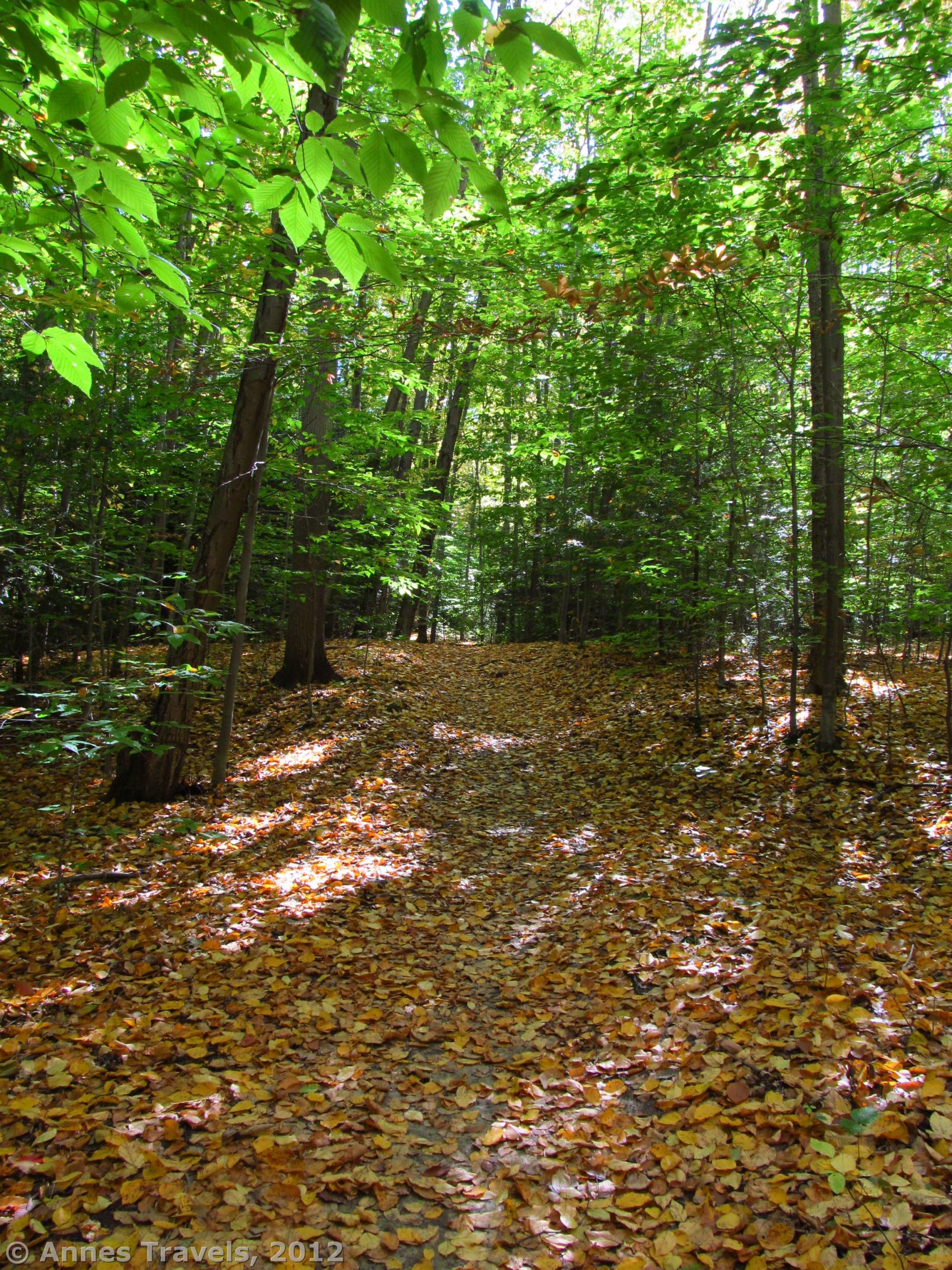 Midnight Trail, Webster Park, New York