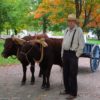 Oxcart Man at Genesee Country Village & Museum, Mumford, New York