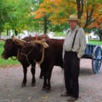 Oxcart Man at Genesee Country Village & Museum, Mumford, New York