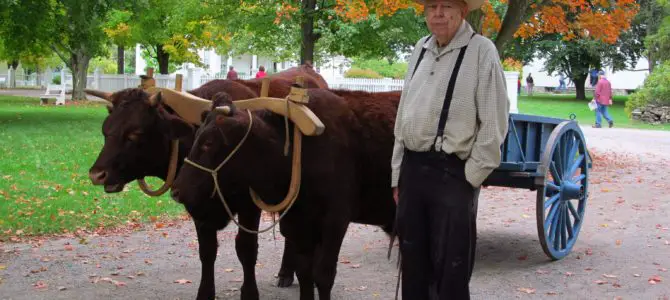 The Genesee Country Village & Museum