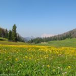 Bonneville Pass, Shoshone National Forest, Wyoming