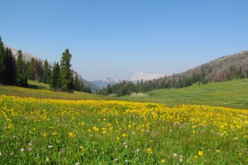 Beautiful, Beautiful Bonneville Pass