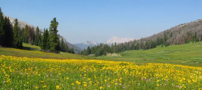 Beautiful, Beautiful Bonneville Pass