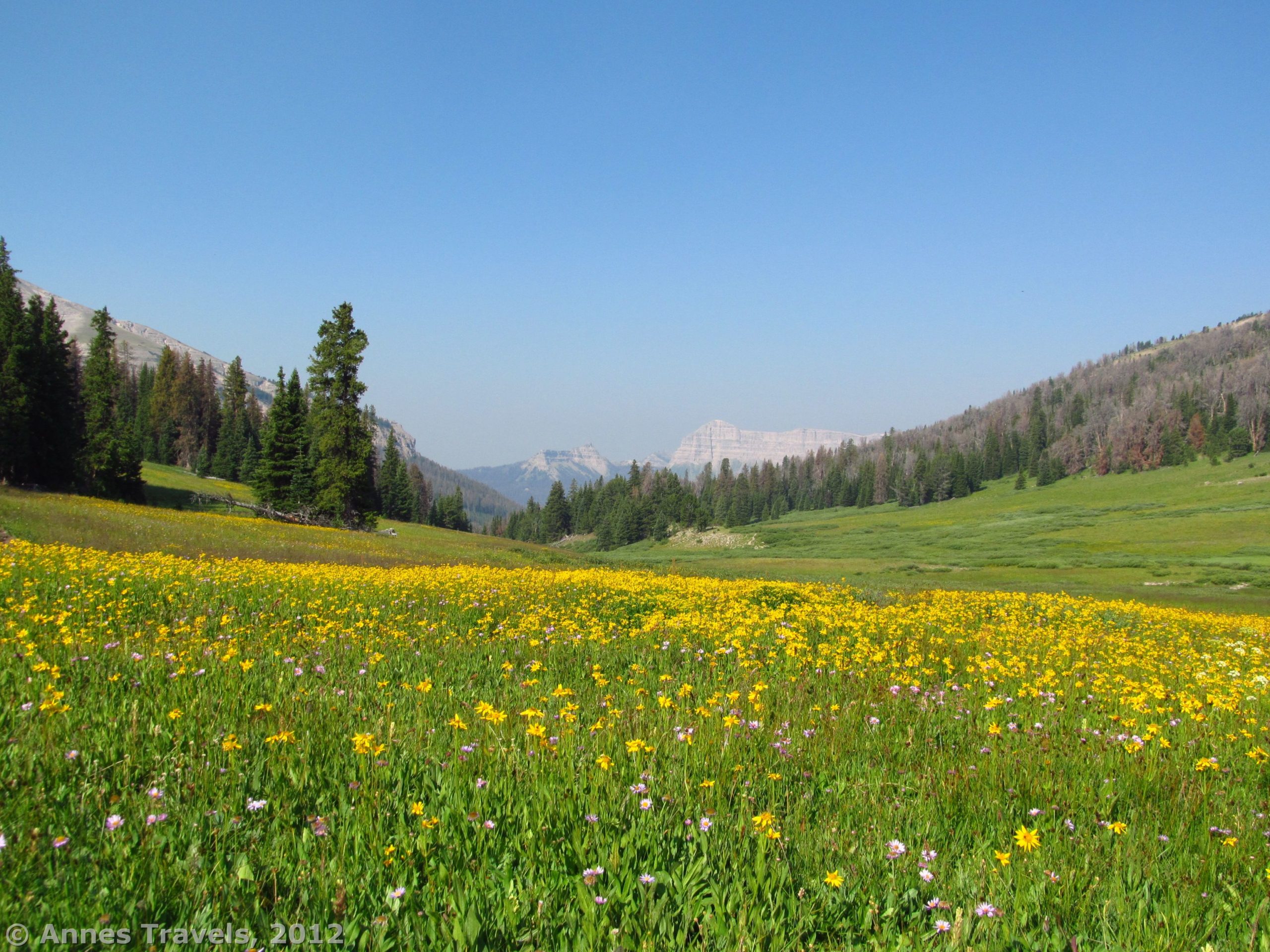 Bonneville Pass, Shoshone National Forest, Wyoming