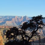 Along the Grandview Trail, Grand Canyon National Park, Arizona