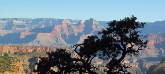 Horseshoe Mesa Loop, pt. 1: Grandview Trail