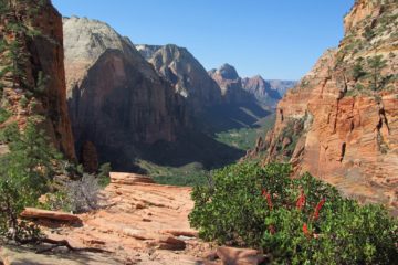 Angel’s Landing: Best Views in Zion National Park