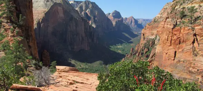 Angel’s Landing: Best Views in Zion National Park