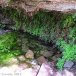 Page Spring (aka Miner's Spring) on the East Horseshoe Mesa Trail, Grand Canyon National Park, Arizona