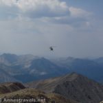 A helicopter circles Mount Elbert summit, San Isabel National Forest, Colorado