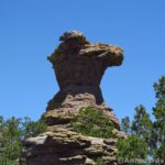 The Camel's Head, one of the rock formations along the Heart of Rocks Loop Trail, Chiricahua National Monument, Arizona