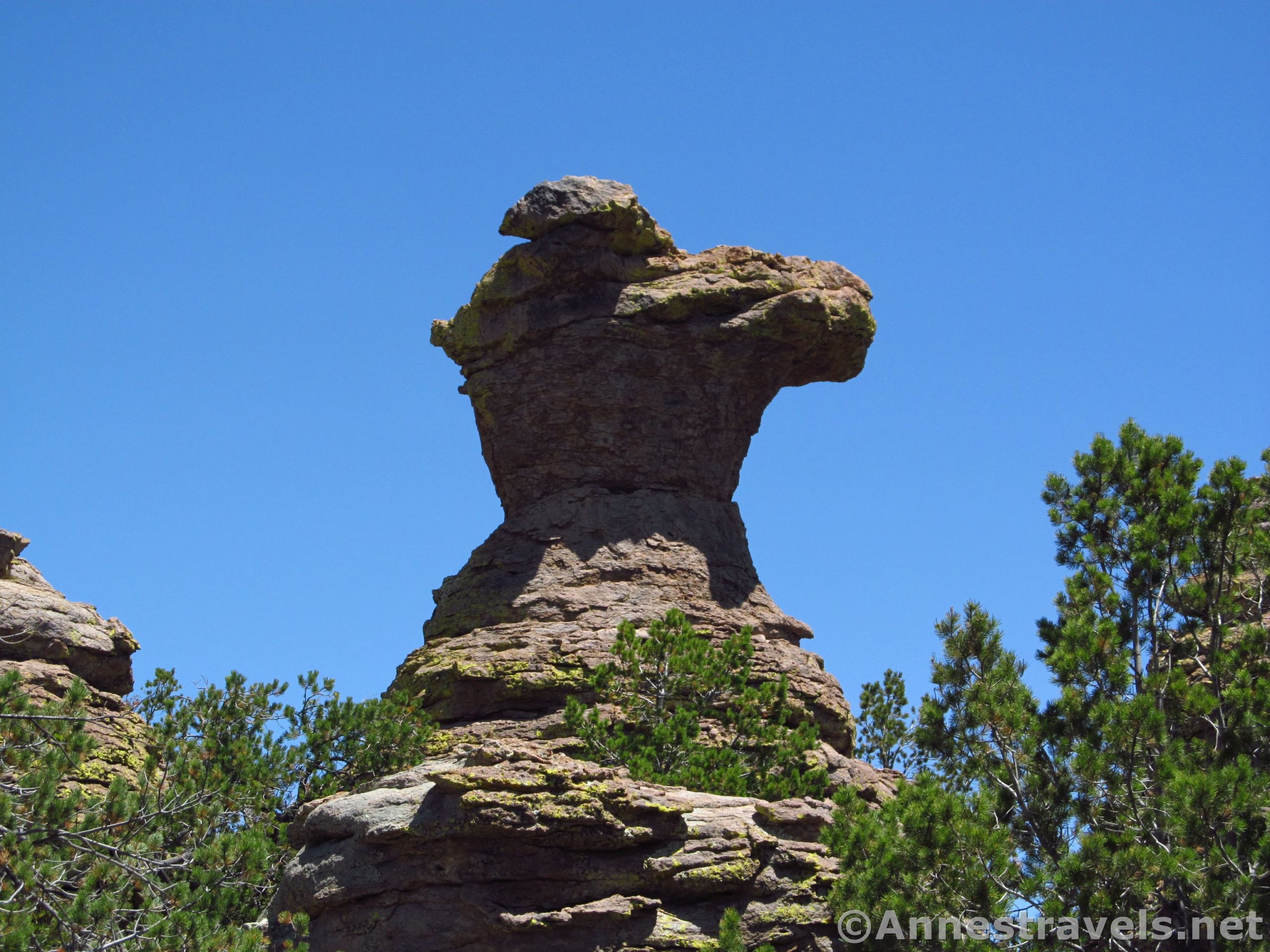 Chiricahua Formations: The Heart of Rocks