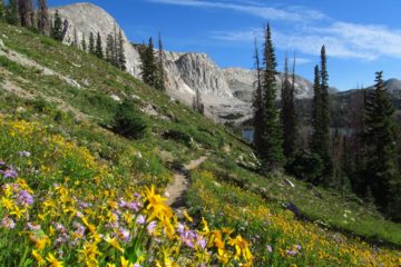 Serene Lakes, Wind-swept Cliffs: Medicine Bow Peak Loop