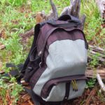 A daypack in a forest