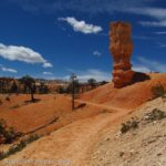 A lone spires stands beside the Fairyland Trail in Bryce National Park, Utah