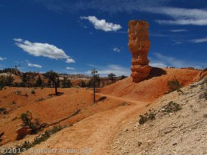 A lone spires stands beside the Fairyland Trail in Bryce National Park, Utah