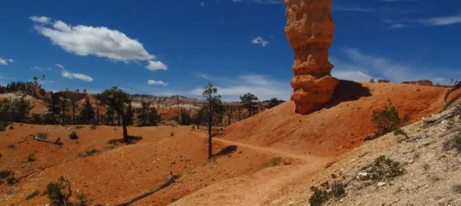 Fairyland Trail Loop: A Long, Lovely Bryce Hike